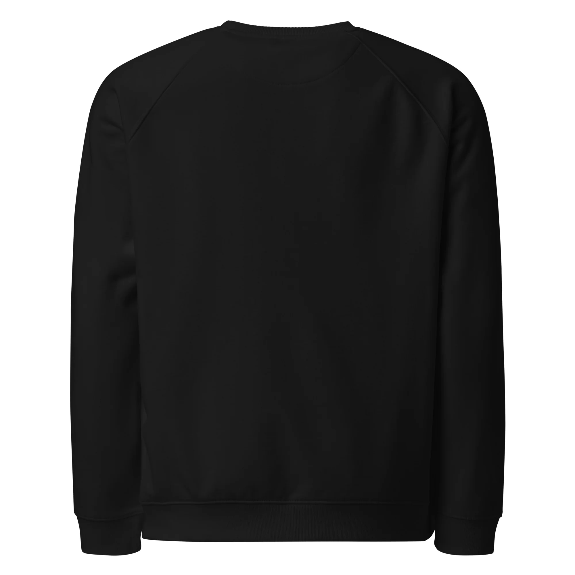 New York Post University Sweatshirt - Image 4