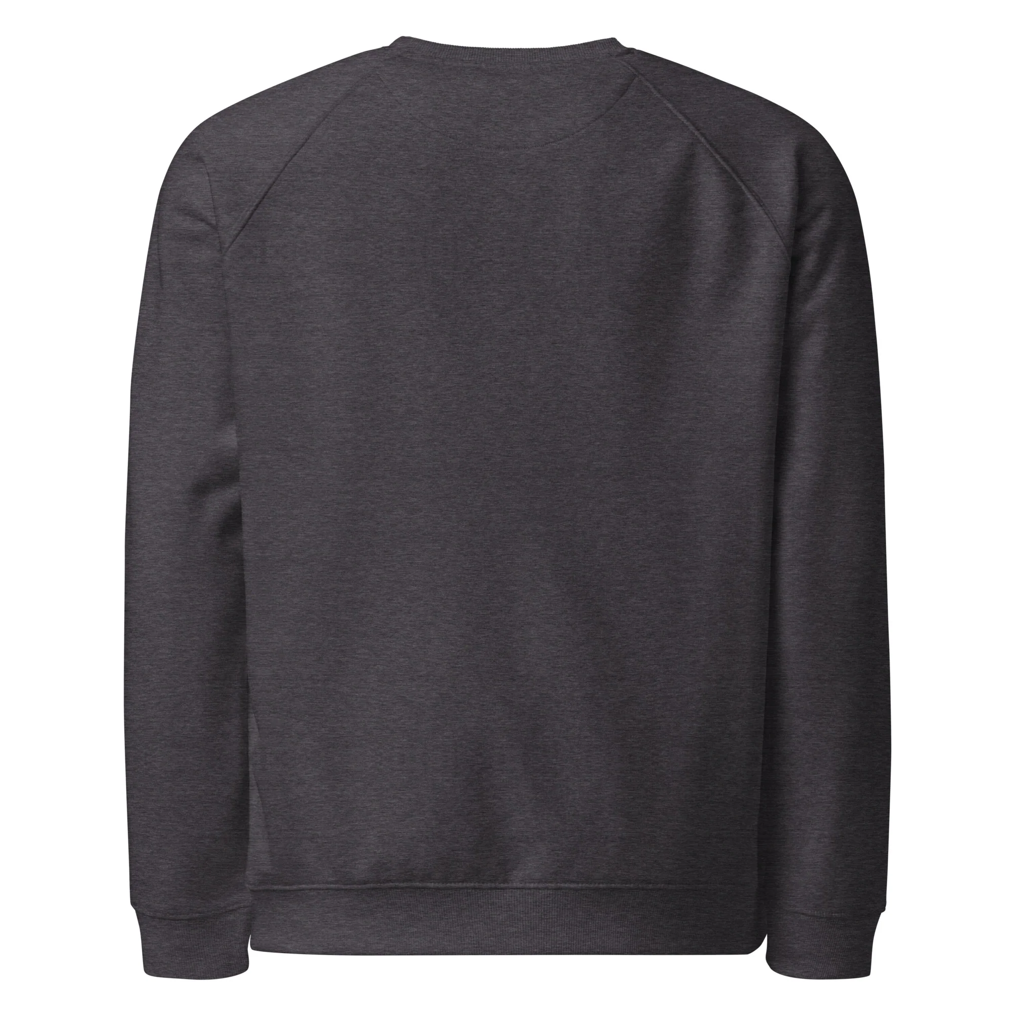 New York Post University Sweatshirt - Image 8